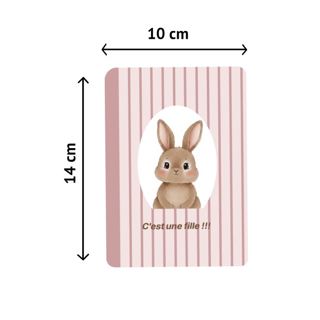 Carte Annonce sexe de bébé - Motif Petit lapin - EP2