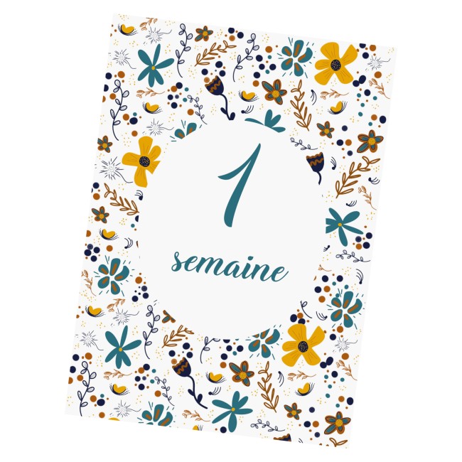 Cartes Etapes bébé - Souvenir photo - Première année ou Premières fois de bébé - Motif Liberty - EPC Cartes Etapes bébé - Souvenir photo - Première année ou Premières fois de bébé - Motif Liberty - EPC