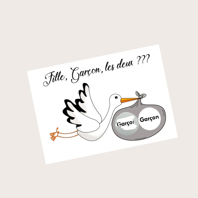 Carte à gratter Annonce du sexe de bébé -Spéciale grossesse gémellaire - Motif Cigogne - EP2