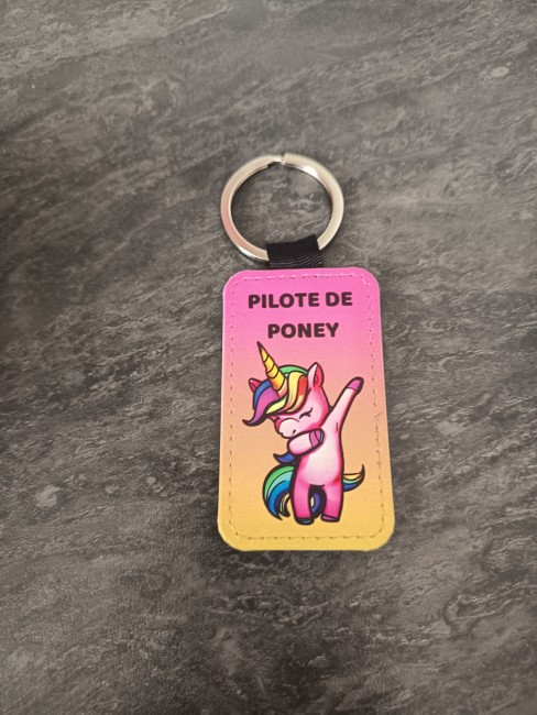 Pilote de poney 2