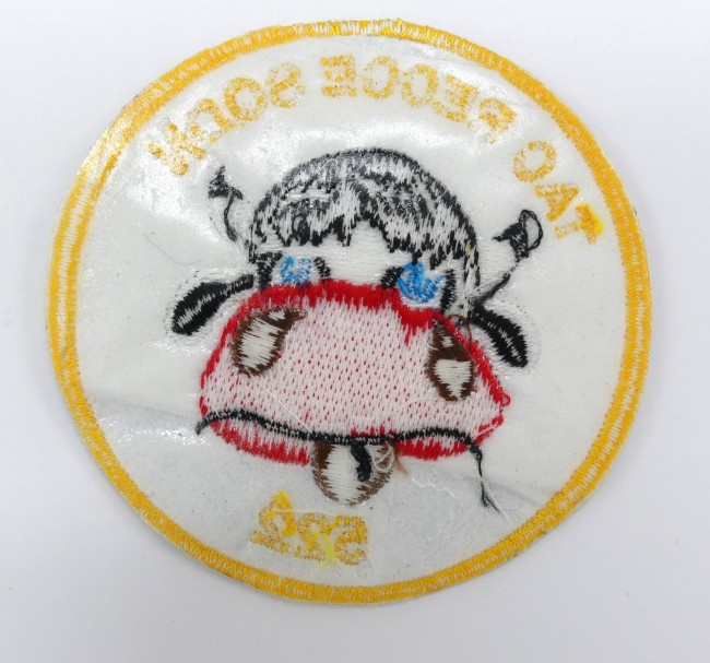 Patch Air Force TAO REOCE SQDN 522 