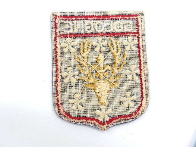 P1260090 Ecusson ancien brodé SOLOGNE