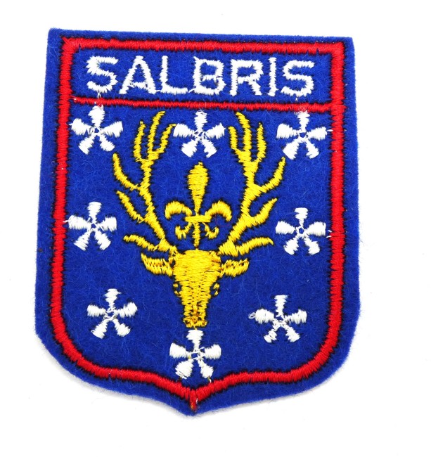 Ecusson brodé ville SALBRIS