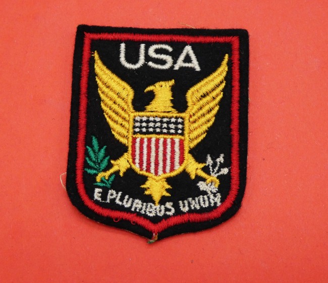 P1020434 Ecusson brodé pays USA