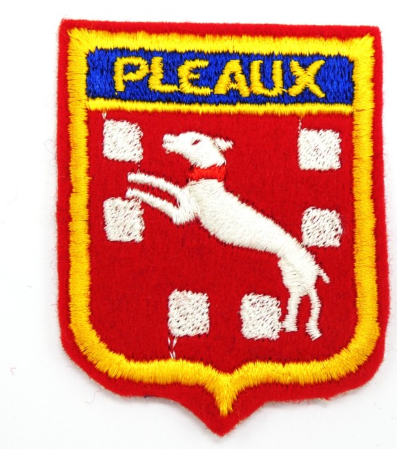 Ecusson brodé ville PLEAUX