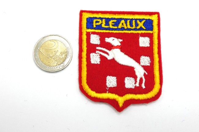 Ecusson brodé ville PLEAUX