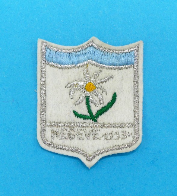 P1220951 Ecusson brodé ville Megève 1113M