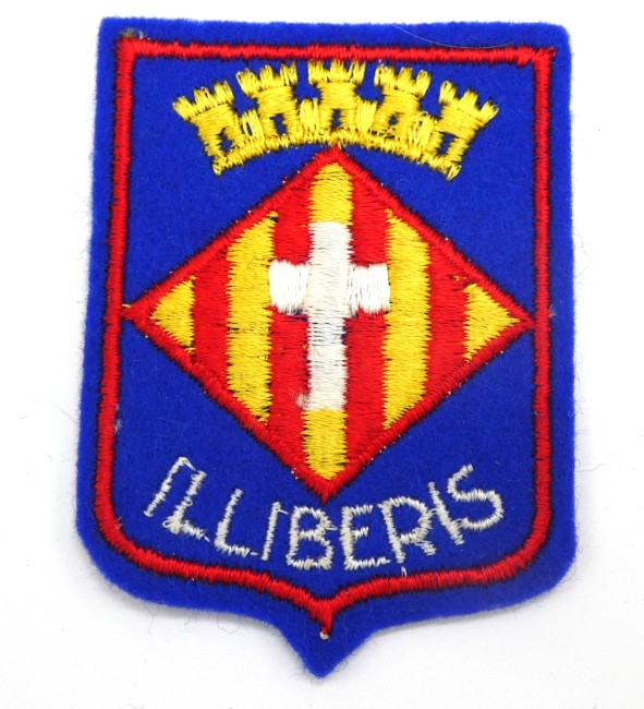 P1100244 Ecusson brodé ville Illiberis