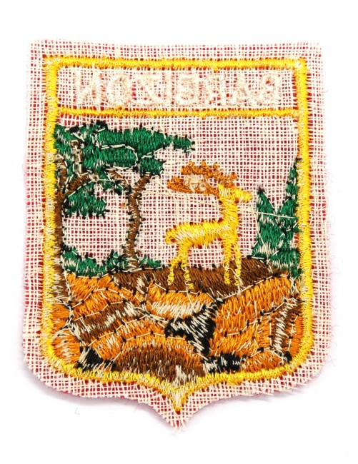 P1020186 Ecusson brodé ville BARBIZON