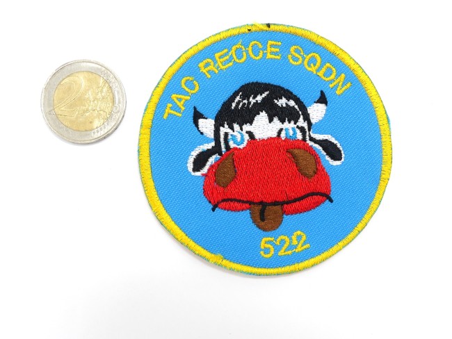 Patch Air Force TAO REOCE SQDN 522 