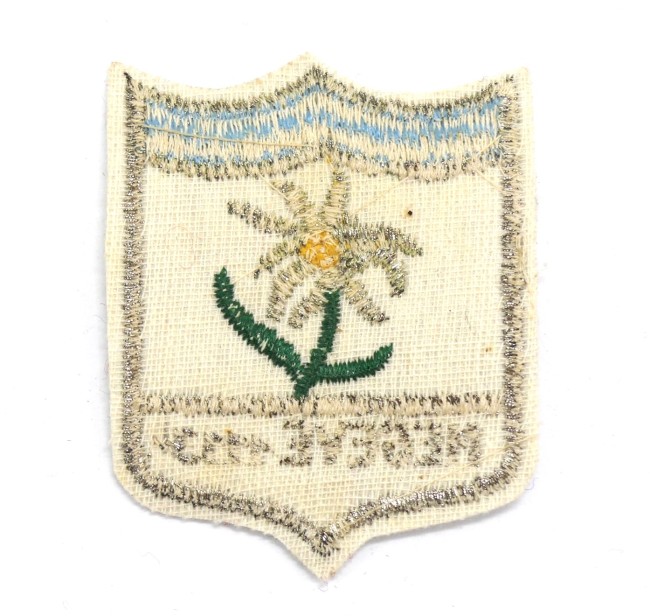 P1220949 Ecusson brodé ville Megève 1113M