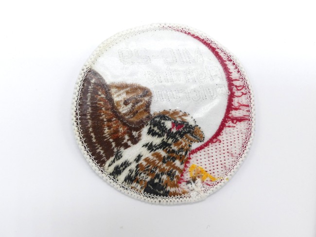 Patch MIG-29 Fighting fuicrum U.S Airforce