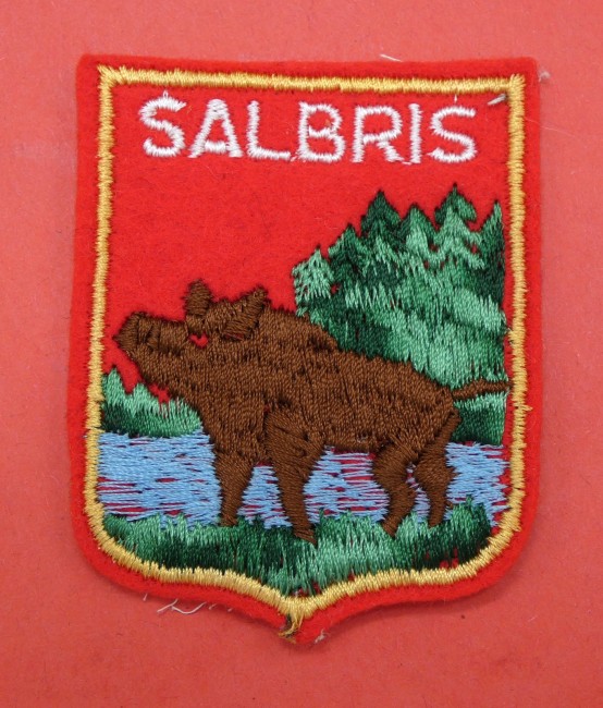P1040903 Ecusson brodé ville SALBRIS