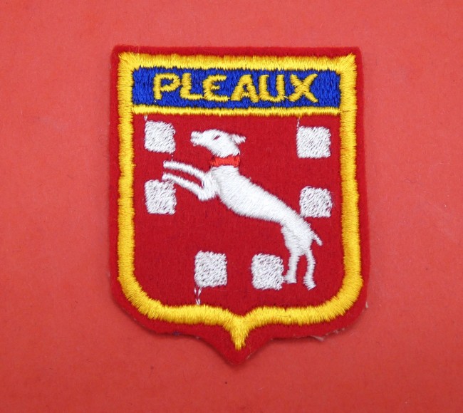 Ecusson brodé ville PLEAUX