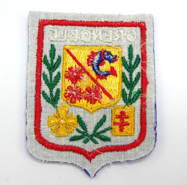 P1030263 Ecusson brdé ville GRENOBLE