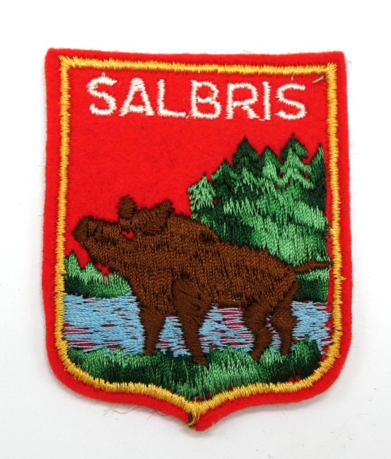 P1040900 Ecusson brodé ville SALBRIS