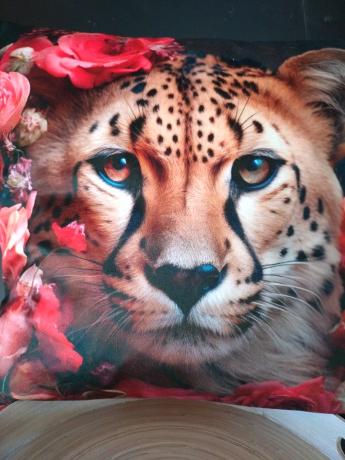 17621606637345349845665004759125