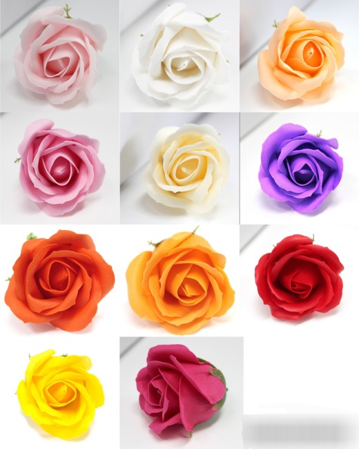 Collage_2025-01-17_18_46_15