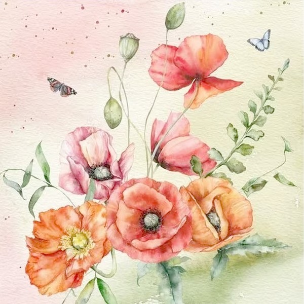 Capture d’écran 2026-07-16 103957