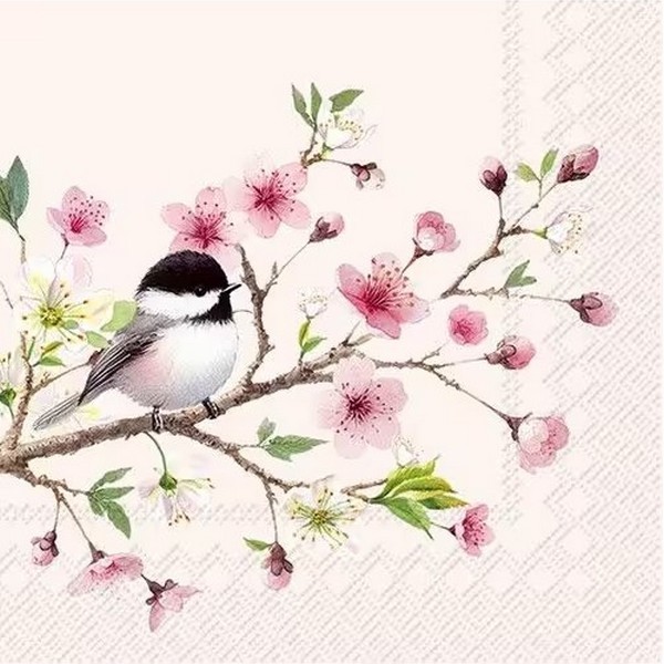 Capture d’écran 2026-07-14 154609