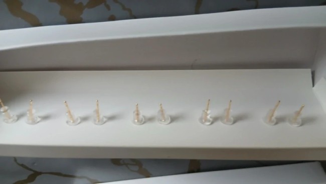 Semainier de boucles d'oreilles