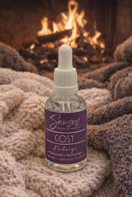 Recharge diffuseur voiture "Cosy"