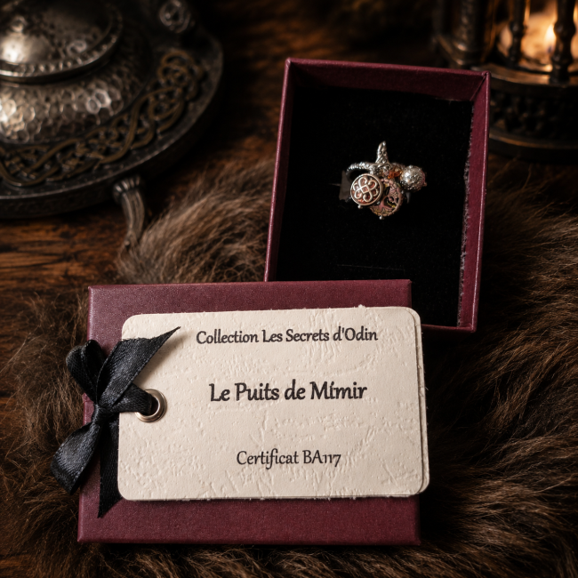 Bague viking femme « Le Puits de Mimir » présentée dans son écrin avec sa carte d’identification et son certificat BA117, collection Les Secrets d’Odin.