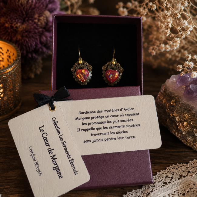Le Cœur de Morgane avec carte d'identification Écrin cadeau des boucles d'oreilles Le Cœur de Morgane avec carte d'identification et certificat BO0566
