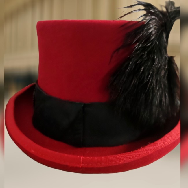 Arrière du chapeau steampunk Dr Jekyll mettant en valeur les plumes d’autruche noires et le bandeau en cuir noir