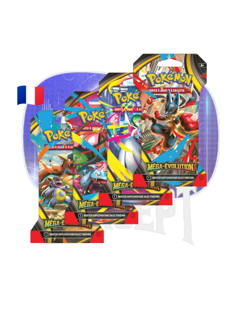 Art Sets Pokemon Ev11 Photo de face du Art Set Pokémon Méga-Évolution