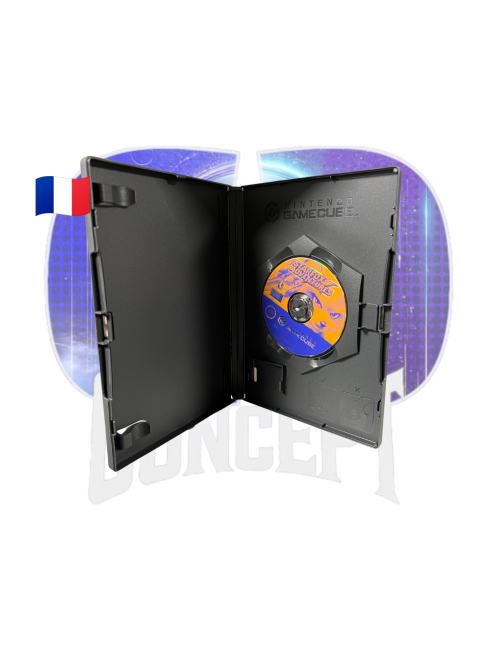 Photo du contenu du jeu StarFox Adventures sur GameCube