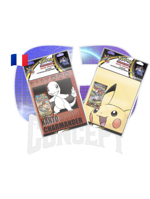 Portfolio Pokémon Méga-Évolution Photo des deux modèles disponibles