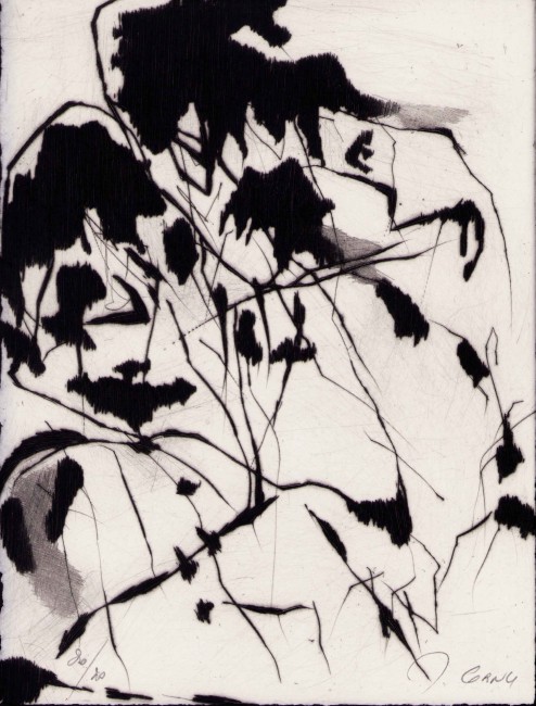 Claes 13
