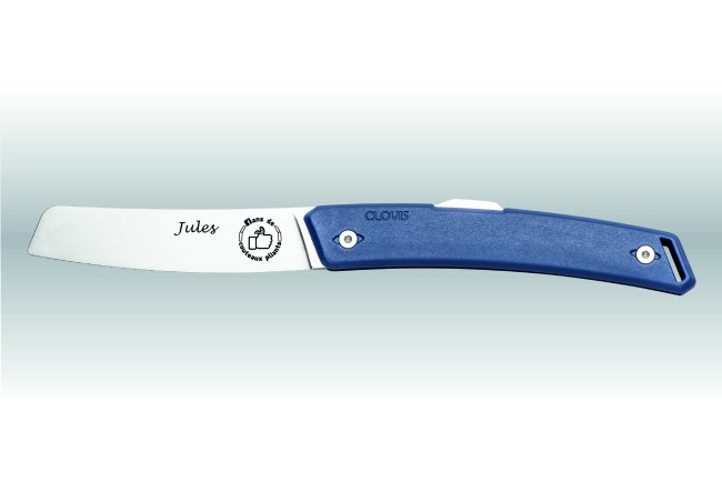 Clovis Bleu