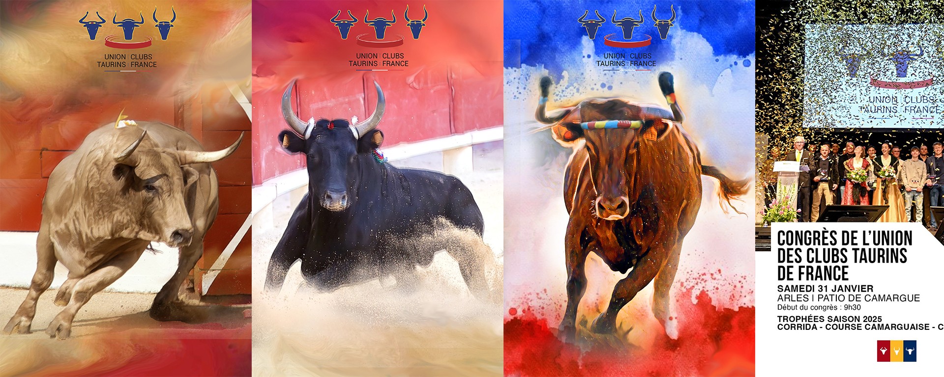 Trophées 2025 de l'union taurines de France par Ydan