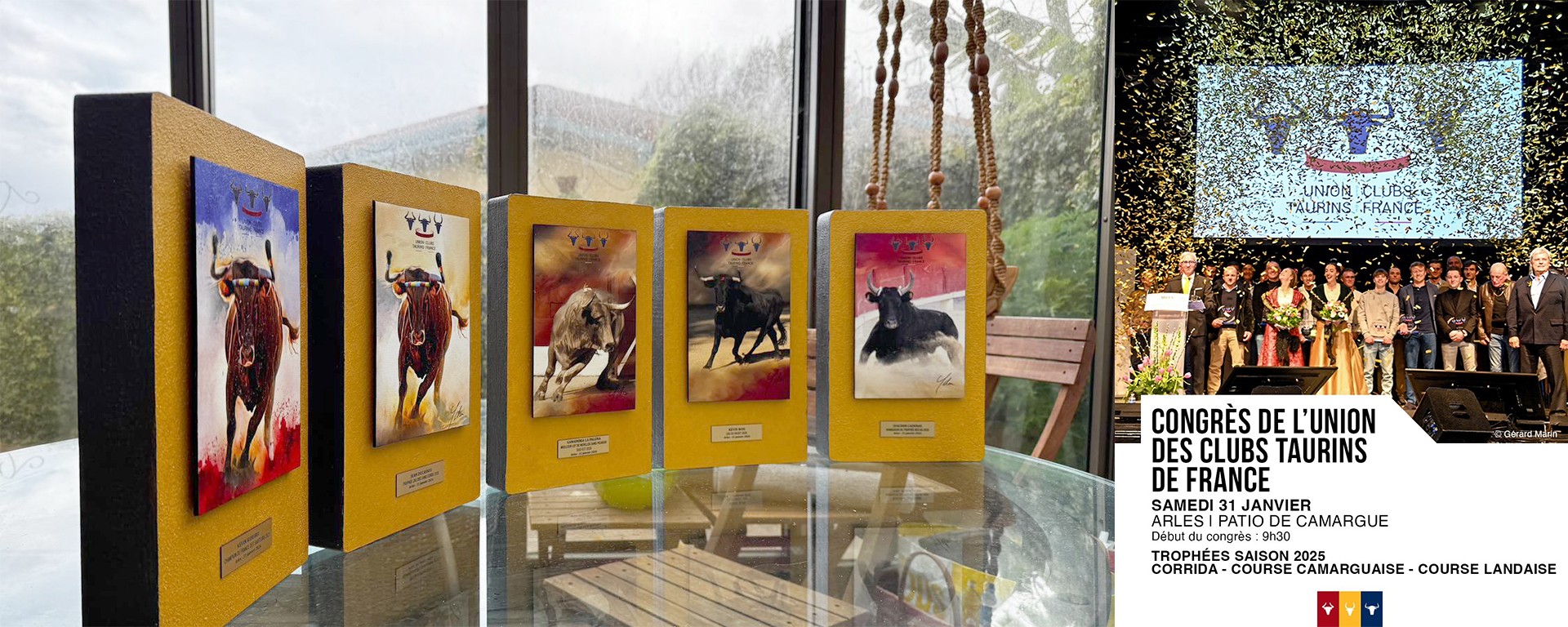 Trophées 2025 de l'union taurines de France par Ydan