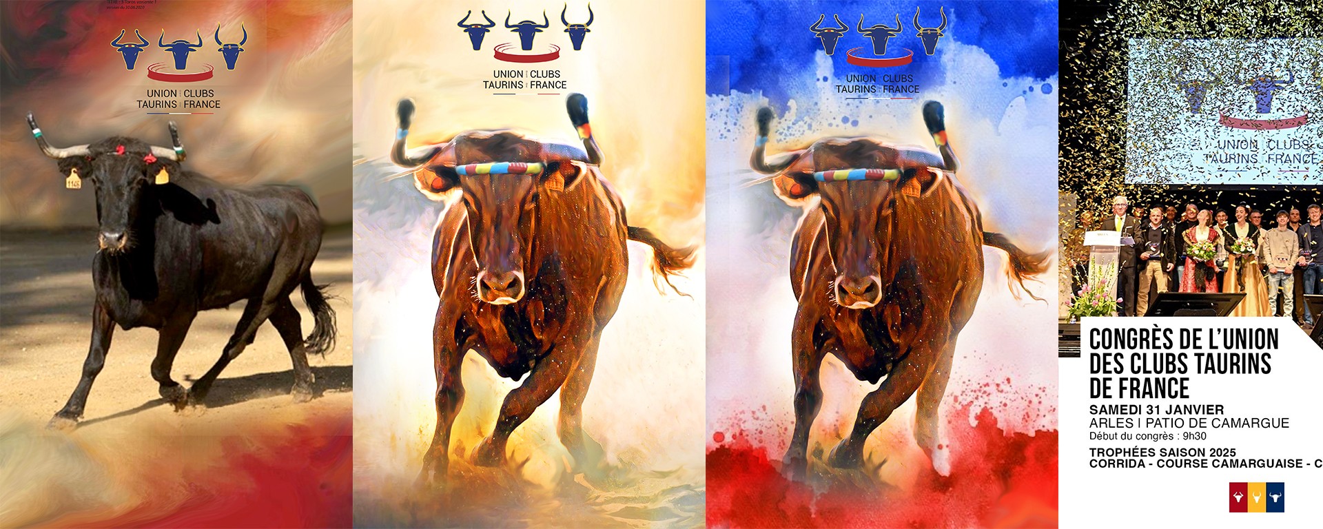 Trophées 2025 de l'union taurines de France par Ydan