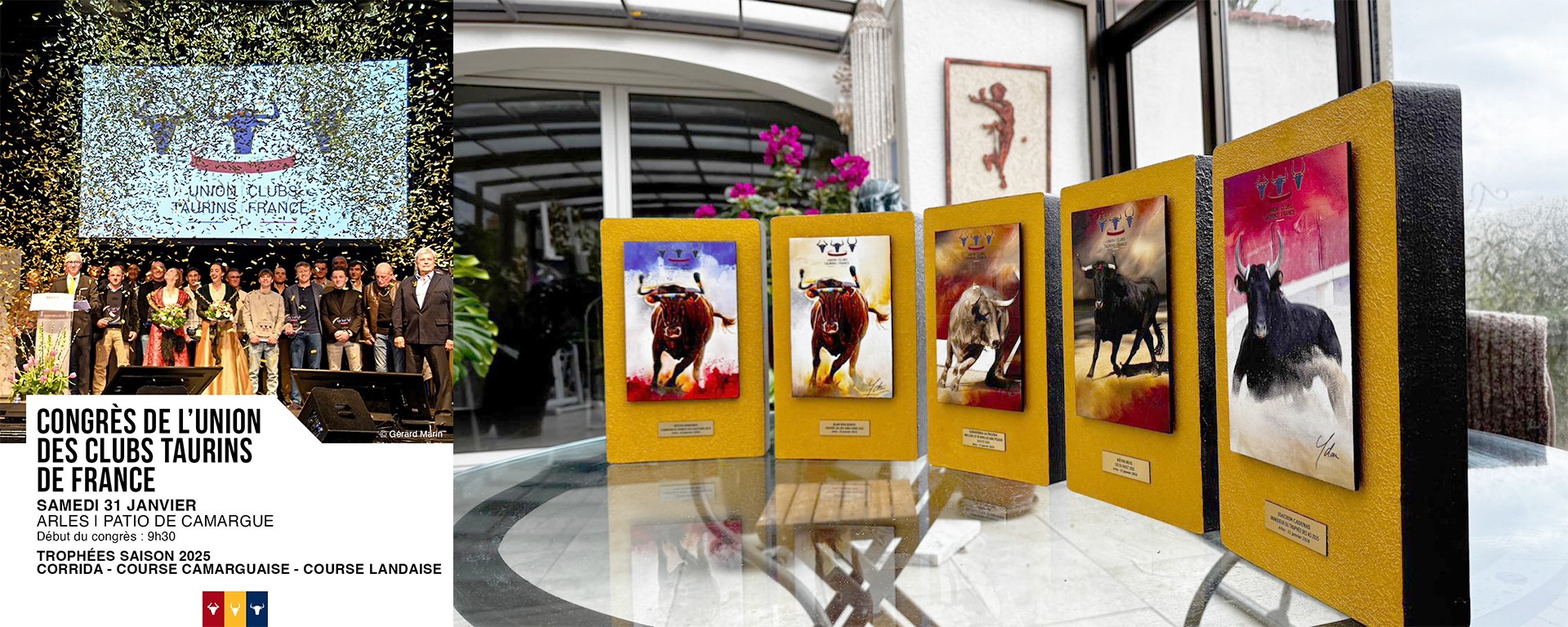Trophées 2025 de l'union taurines de France par Ydan