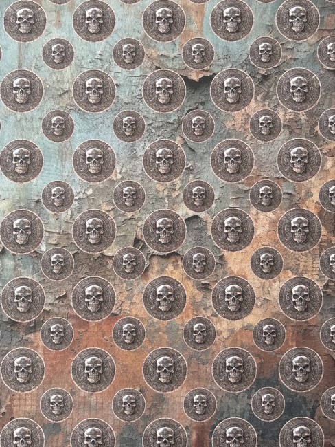 IMG_0859BDA4-AD9C-4FF7-8740-94D320FCC10A