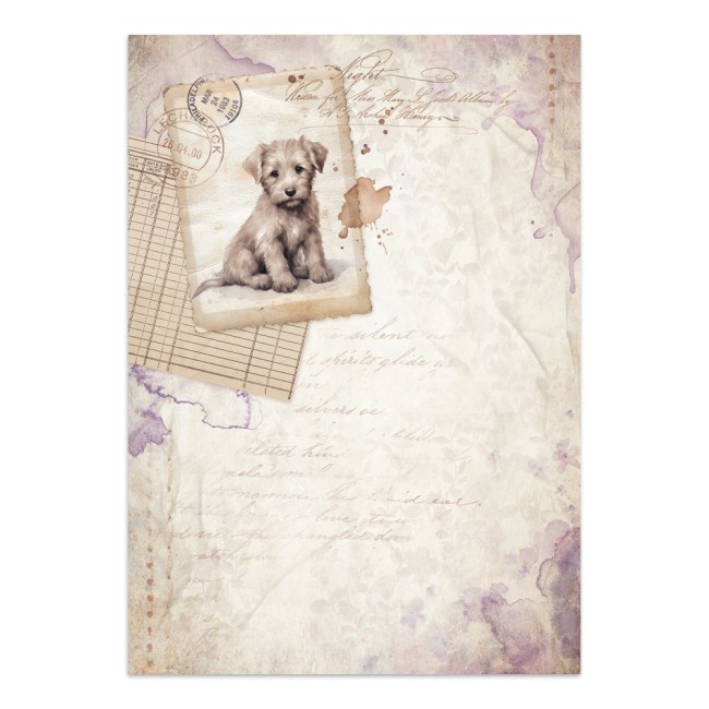 2154f60d9afdcd3d37fce0571d874bfb88e72b16-lg