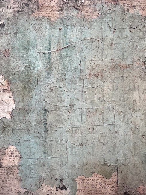 IMG_9D908A8C-3C8C-4AAA-9369-F07583037120