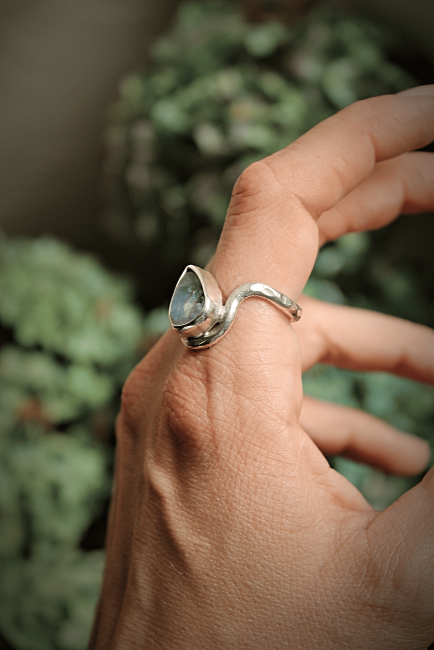 IMG_0381-fotor-2025101412256