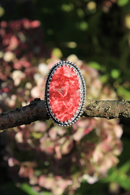 IMG_0756-fotor-20251028194721