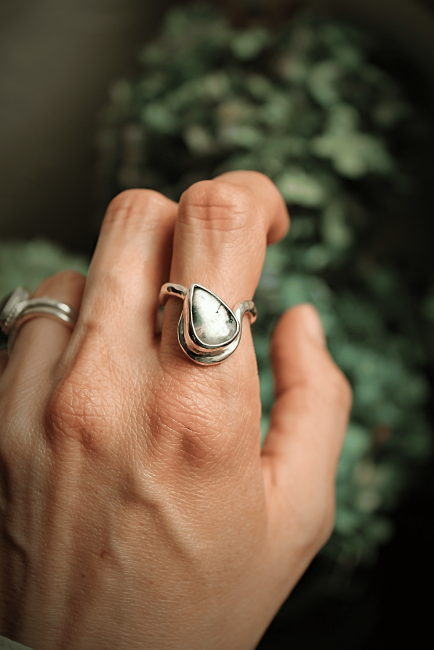 IMG_0377-fotor-20251014115814