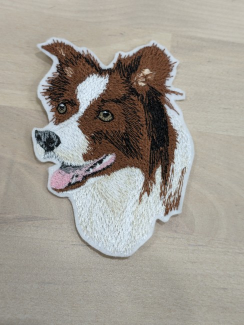 PXL_20240331_183005938