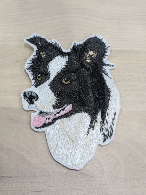 PXL_20240331_182959398