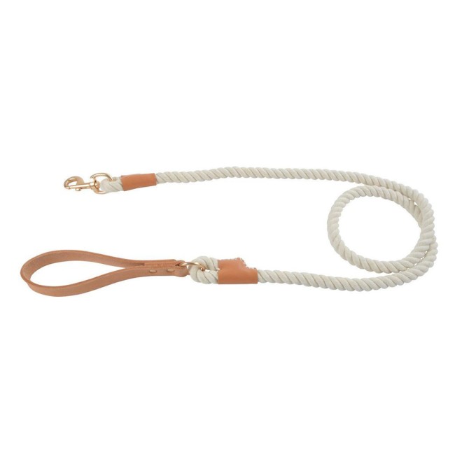 Laisse chien City coton et cuir écru 150 cm | Irisia Maison