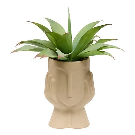 Agave artificielle H48 cm avec pot céramique visage déco intérieur