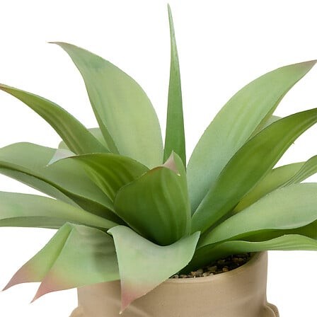Agave artificielle H48 cm avec pot céramique visage déco intérieur