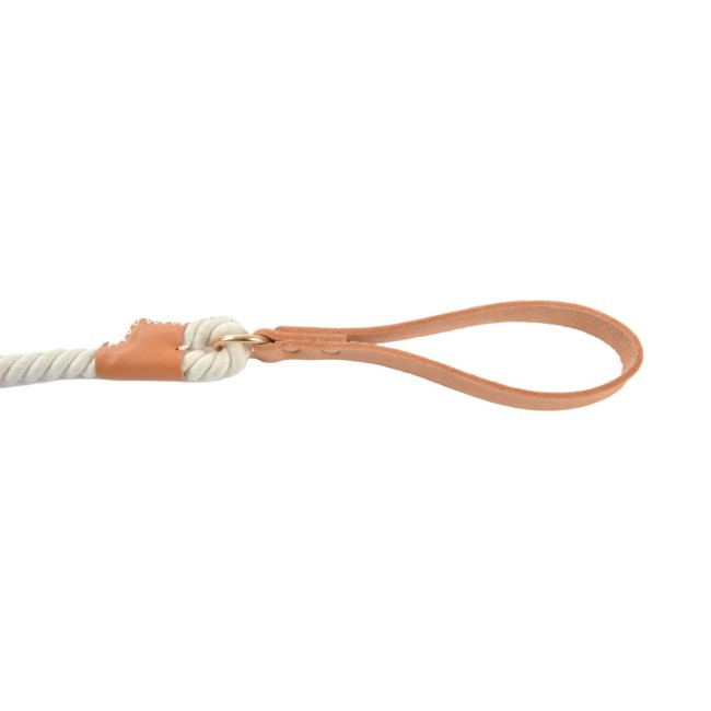 Laisse chien City coton et cuir écru 150 cm | Irisia Maison